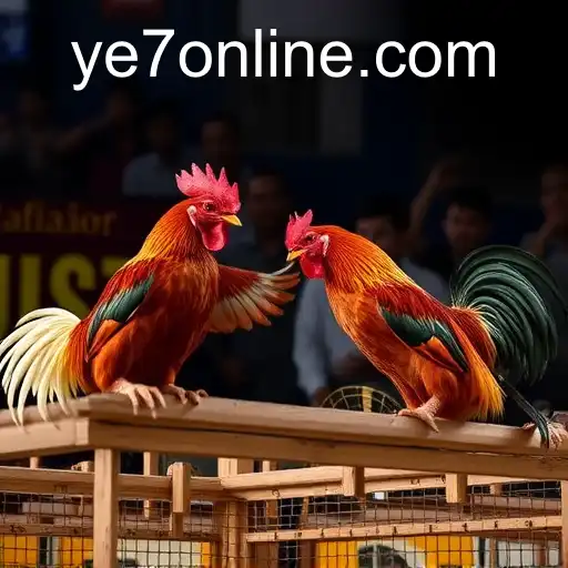 The Rise and Evolution of Online Sabong with YE7